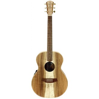 Cole Clark CCAN2E-BLBL Angel 2 All Blackwood (no cutaway)