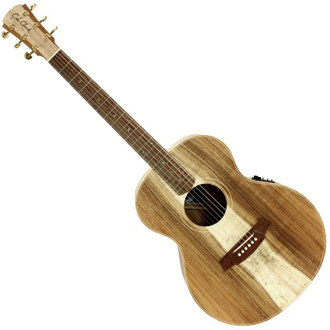 Cole Clark CCAN2E-BLBL Angel 2 All Blackwood - Left Handed