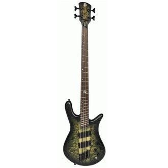 Spector NS Dimension 4 Multi-Scale in Haunted Moss